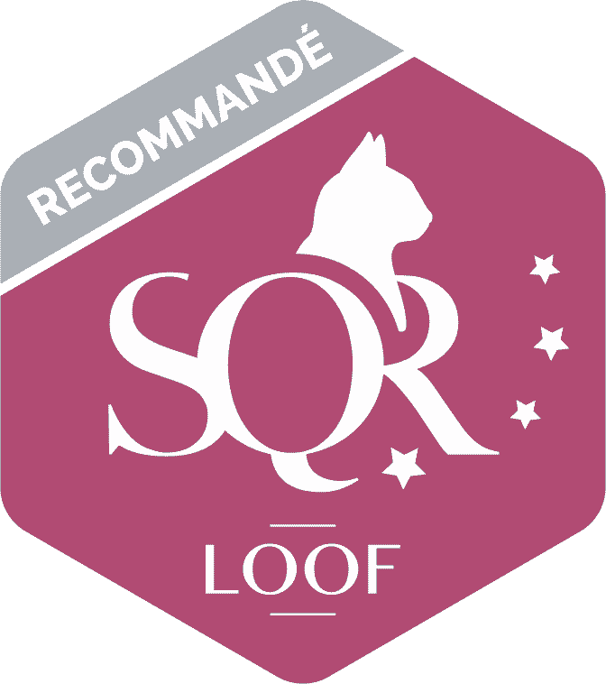 logo-SQR-N4